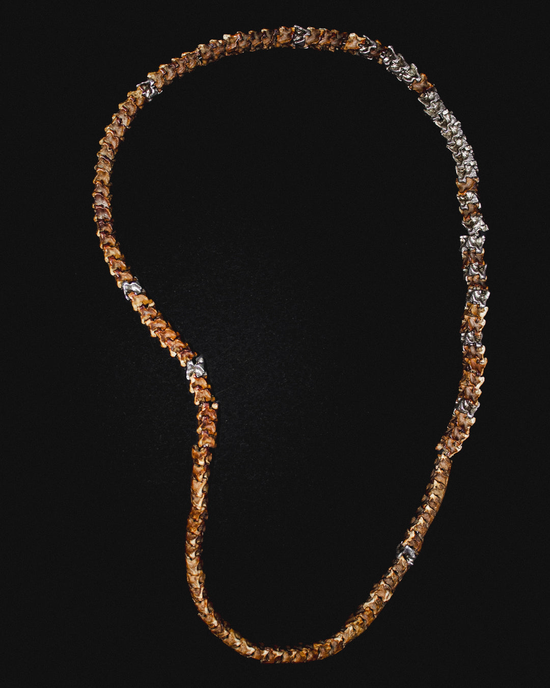 Snake Medicine Necklace
